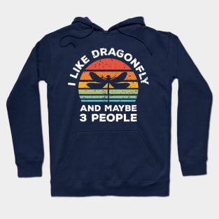 I Like Dragonfly and Maybe 3 People, Retro Vintage Sunset with Style Old Grainy Grunge Texture Hoodie